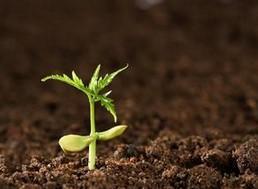 土壤監(jiān)測，土壤污染程度，深圳檢測機構(gòu)