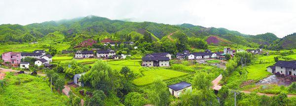 農村人居環境項目檢測