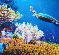 海洋生態(tài)檢測服務(wù)、環(huán)保檢測、各項(xiàng)微生物有害物質(zhì)指標(biāo)檢測