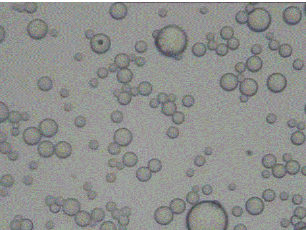 粒度檢測標(biāo)準(zhǔn)哪里的檢測機(jī)構(gòu)可以做？